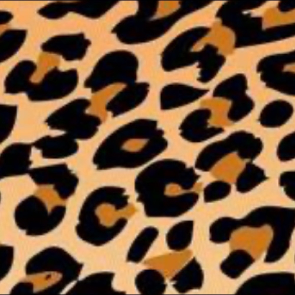 Meet your Posher, Mikayla